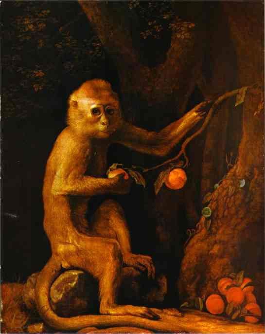 George Stubbs Green Monkey
